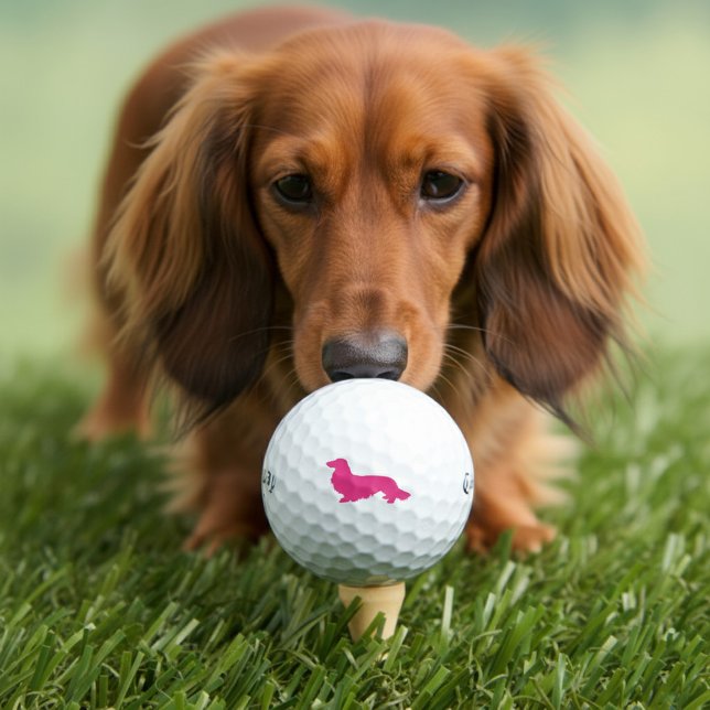 Long Hair Dachshund Pink Golfer Gift Golf Balls (pink long hair dachshund golf balls)