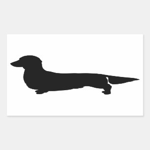 Long Hair Dachshund Rectangle Sticker