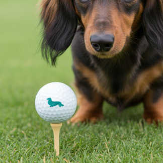 Long Hair Dachshund Teal Golfer Gift Golf Balls