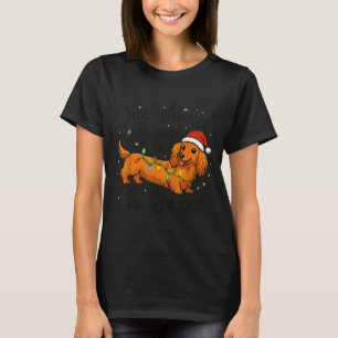 Long Hair Dachshund Through Snow Christmas Pajamas T-Shirt