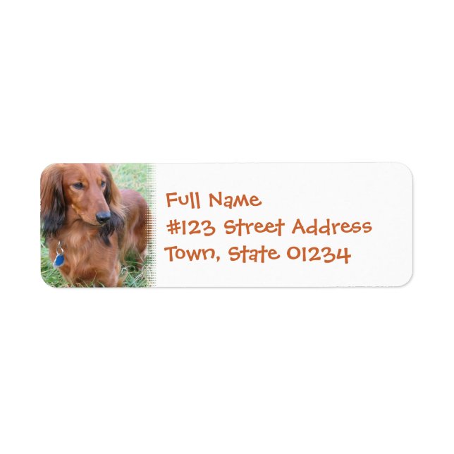 Long Hair Daschund Return Address Label (Front)