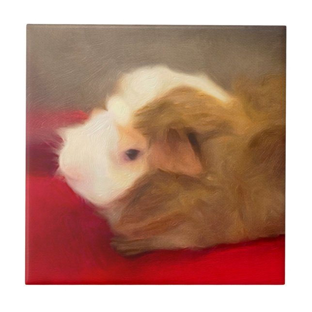 Long Hair Guinea Pig Ceramic Tile (Front)