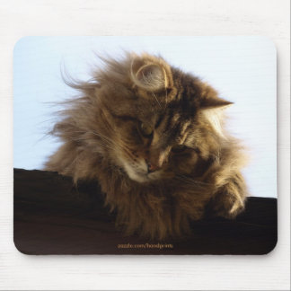 Long-hair Tabby Cat Mousepad