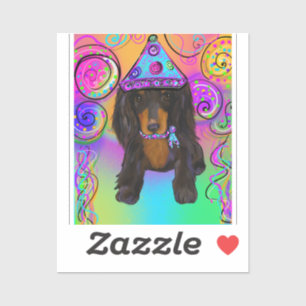 LONG HAIRED BLACK & TAN DOXIE