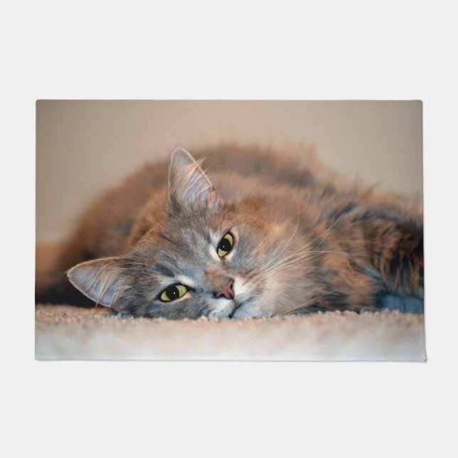 Long Haired Blue Russian Cat by Shirley Taylor Doormat (Front)