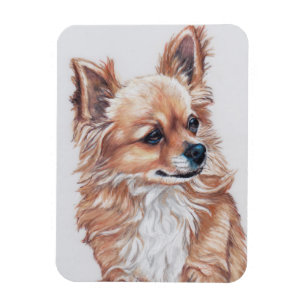 Long Haired Chihuahua Dog Art Magnet