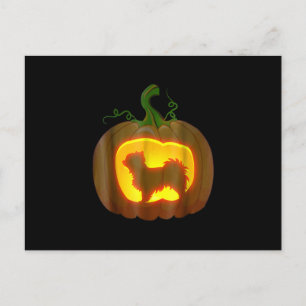 Long Haired Chihuahua Halloween Holiday Postcard