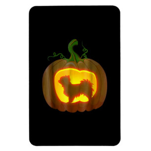 Long Haired Chihuahua Halloween Magnet