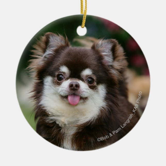 Long Haired Chihuahua Headshot 1 Ceramic Tree Decoration (Front)