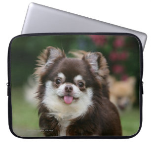 Long Haired Chihuahua Headshot 1 Laptop Sleeve
