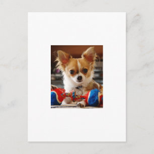 Long Haired Chihuahua Postcard