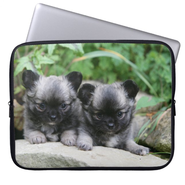 Long Haired Chihuahua Puppies Laptop Sleeve (Front)