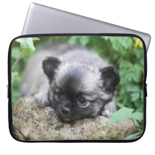 Long Haired Chihuahua Puppy Laptop Sleeve