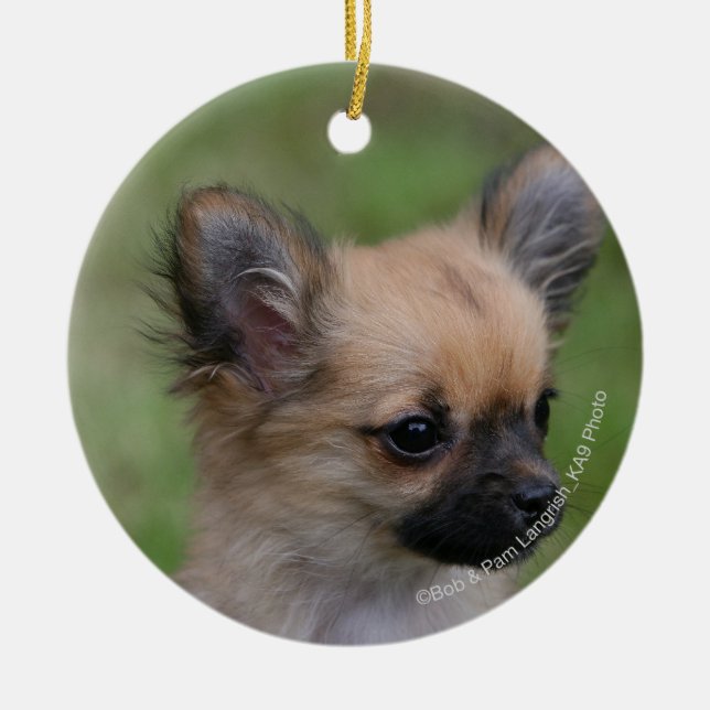 Long Haired Chihuahua Puppy Looking at Camera Ceramic Tree Decoration (Front)