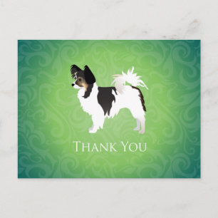 Long-haired Chihuahua Thank You Design Postcard