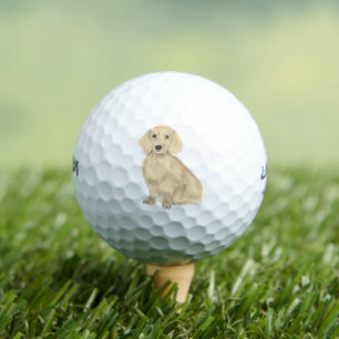 Long Haired Cream Dachshund Golf Balls