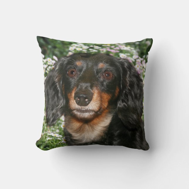 Long haired dachshund cushion (Front)