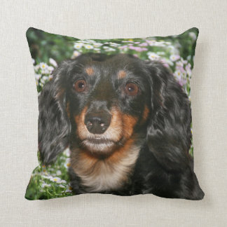 Long haired dachshund cushion