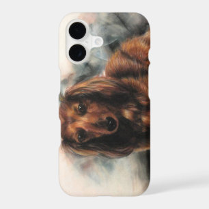 Long Haired Dachshund dog