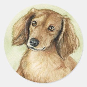"Long Haired Dachshund" Dog Art Stickers