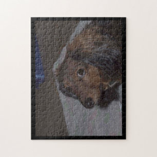 Long-Haired Dachshund Jigsaw Puzzle