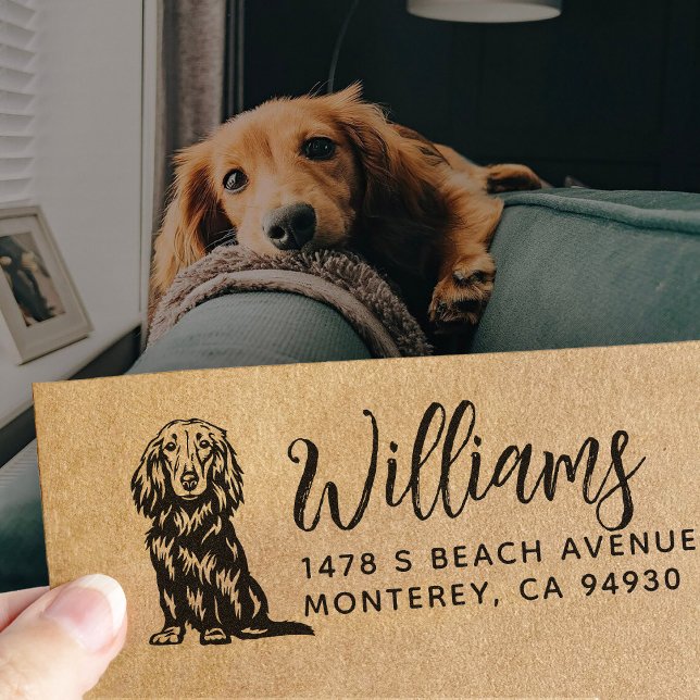  Long Haired Dachshund Owner Return Address Dog Rubber Stamp (Creator Uploaded)
