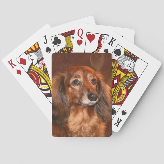 Long haired dachshund playing cards (Back)