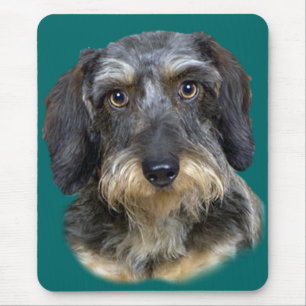 Long Haired Dachshund Portrait Gifts Mouse Pad