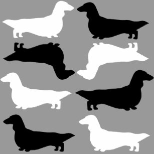 dachshund silhouette long haired gifts on zazzle au