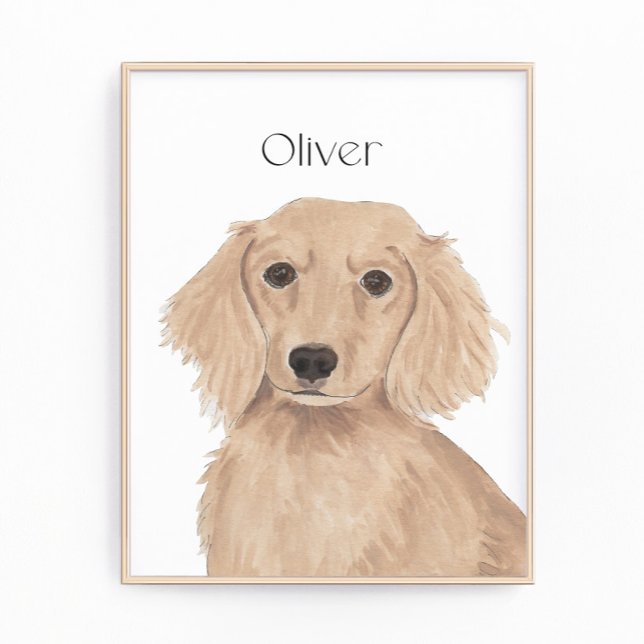 Long Haired English Red Dachshund Art Photo Print (Creator Uploaded)