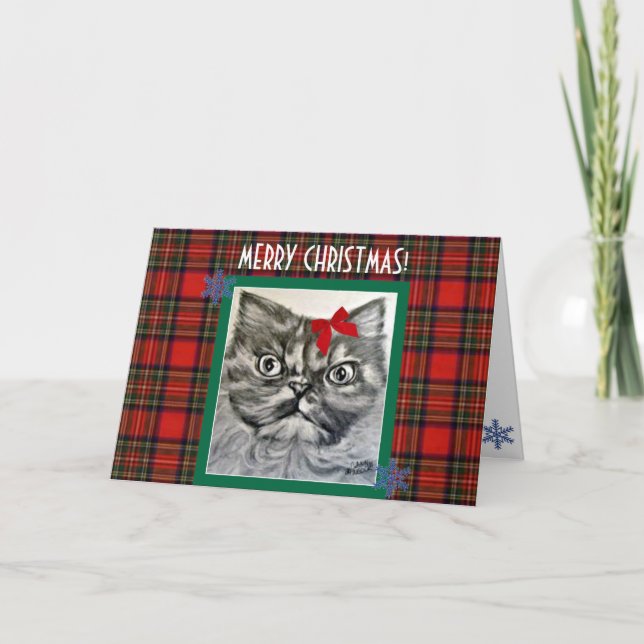 Long-Haired Exotic Cat Merry Christmas Card (Front)
