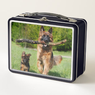 Long Haired Fluffy German Shepherd Dog and Puppy Metal Lunch Box
