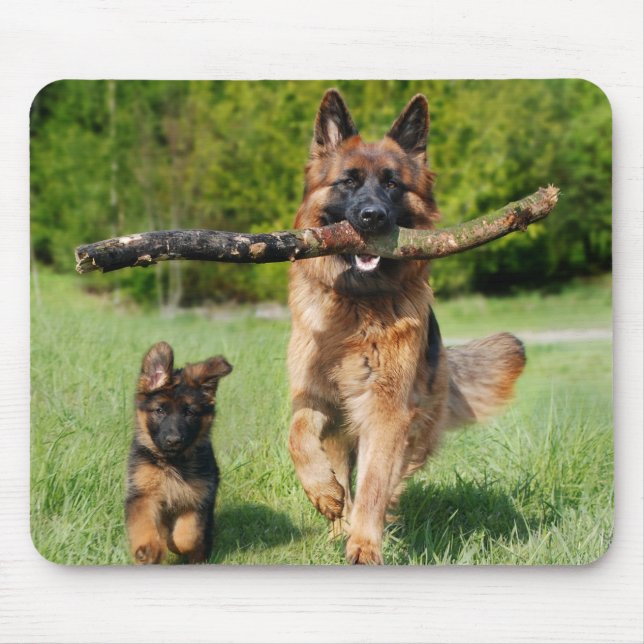Long Haired Fluffy German Shepherd Dog and Puppy Mouse Pad (Front)
