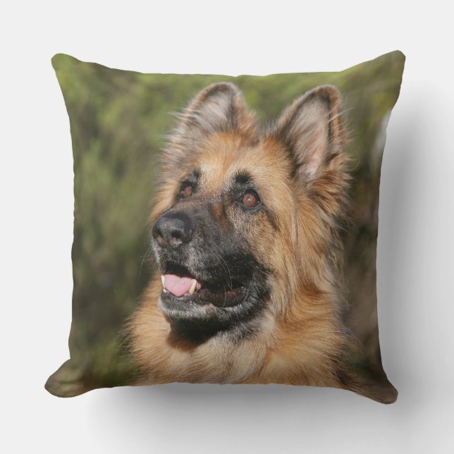 Long Haired German Shepherd 1 Cushion (Front)