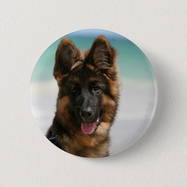 Long Haired German Shepherd Beach 6 Cm Round Badge (Front)