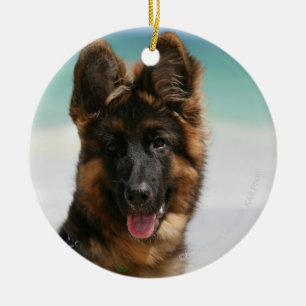 Long Haired German Shepherd Beach Ceramic Ornament
