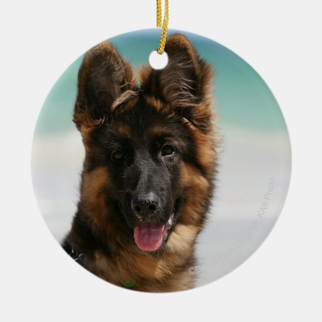Long Haired German Shepherd Beach Ceramic Ornament (Front)