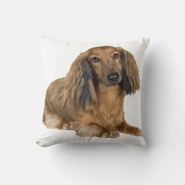 Long Haired Gold Dachshund Pillow (Front)