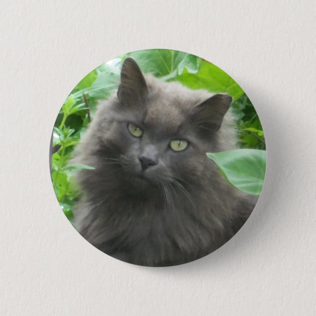 Long Haired Grey Russian Blue Cat 6 Cm Round Badge (Front)