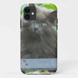Long Haired Grey Russian Blue Cat iPhone 11 Case