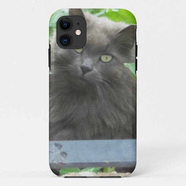 Long Haired Grey Russian Blue Cat Case-Mate iPhone Case (Back)