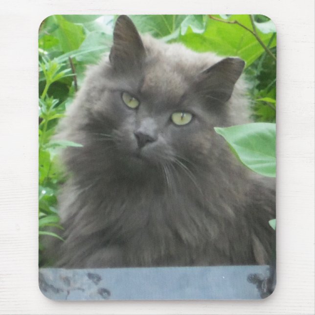 Long Haired Grey Russian Blue Cat Mouse Pad (Front)