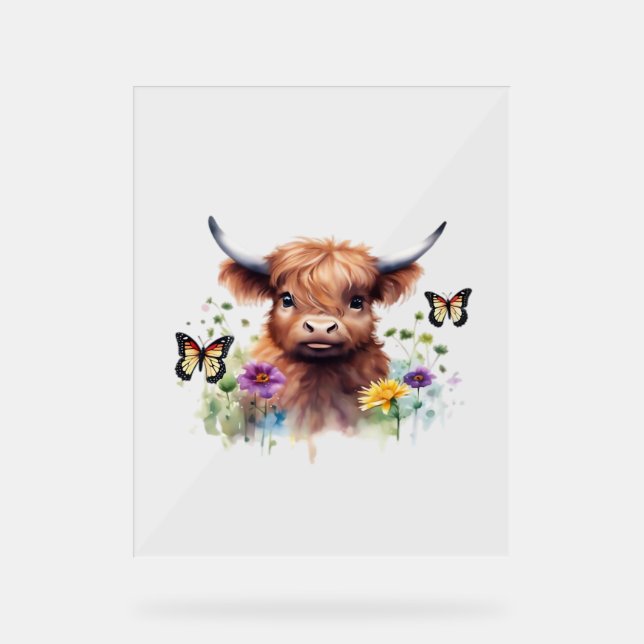 Long Haired Highland Baby Cow Classic T-Shirt Acrylic Sign (Front)