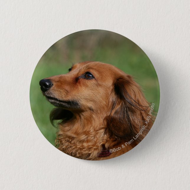 Long-haired Miniature Dachshund 2 6 Cm Round Badge (Front)