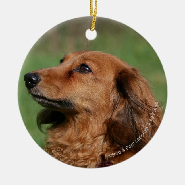 Long-haired Miniature Dachshund 2 Ceramic Tree Decoration (Front)