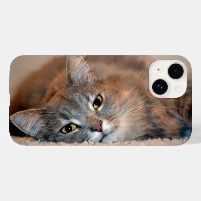 Long Haired Russian Blue Cat by Shirley Taylor Case-Mate iPhone Case (Back (Horizontal))