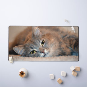 Long Haired Russian Blue Cat by Shirley Taylor Desk Mat