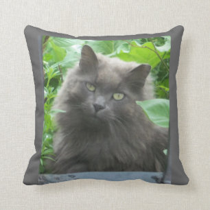 Long Haired Russian Blue Cat Cushion