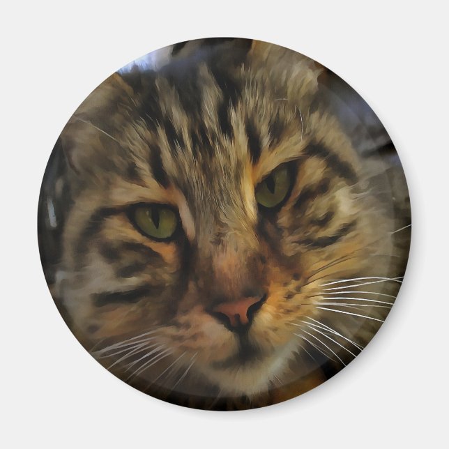 Long Haired Tabby Cat Artistic Pet Portrait v2 Magnet (Front)
