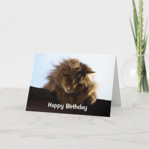 Long-Haired Tabby Cat Birthday Card